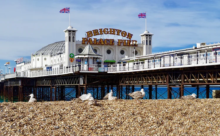 Brighton - beach, seagulls and Palace Pier