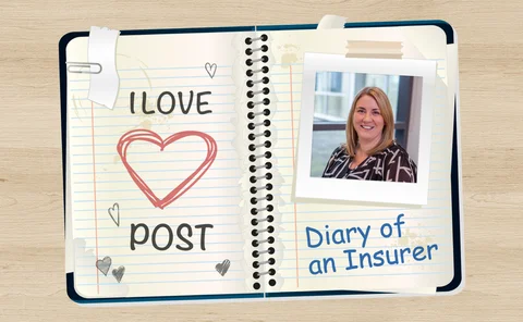 Diary of an Insurer-becky henry