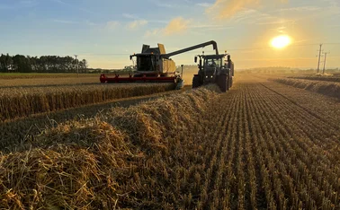 A wide shot of a combine harvester harvesting winter wheat in an agricultural field in Embleton, Northumberland at sunset on a summer's evening. A tractor pulls a large trailer, driving alongside collecting the crop.