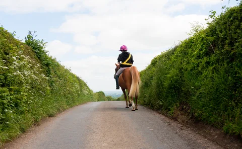Young woman and her pony riding away over the brow of a hill into the distance.
